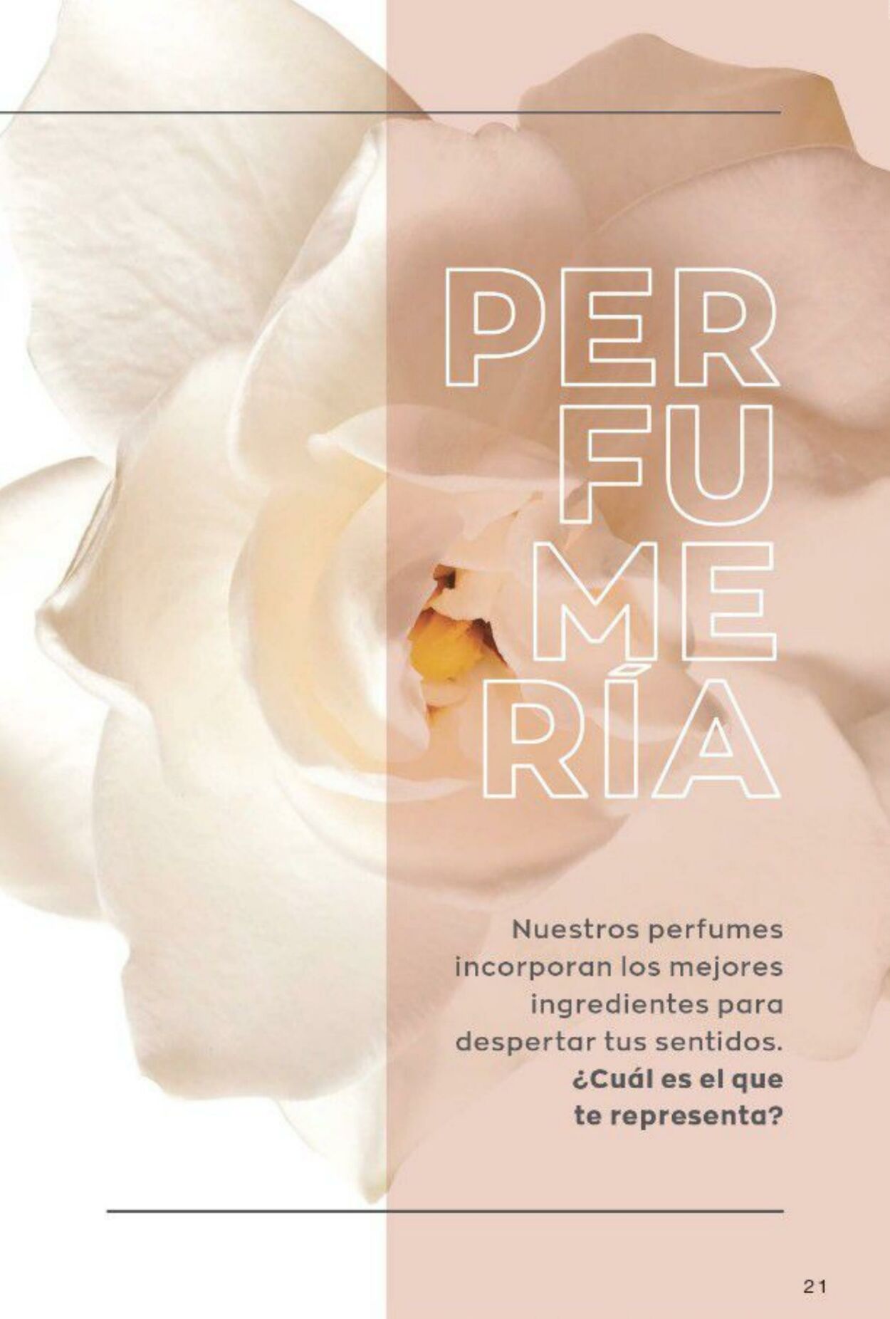 Catálogo Avon 16.07.2022 - 15.08.2022