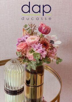 Catálogo Dap Ducasse 26.01.2023 - 09.02.2023