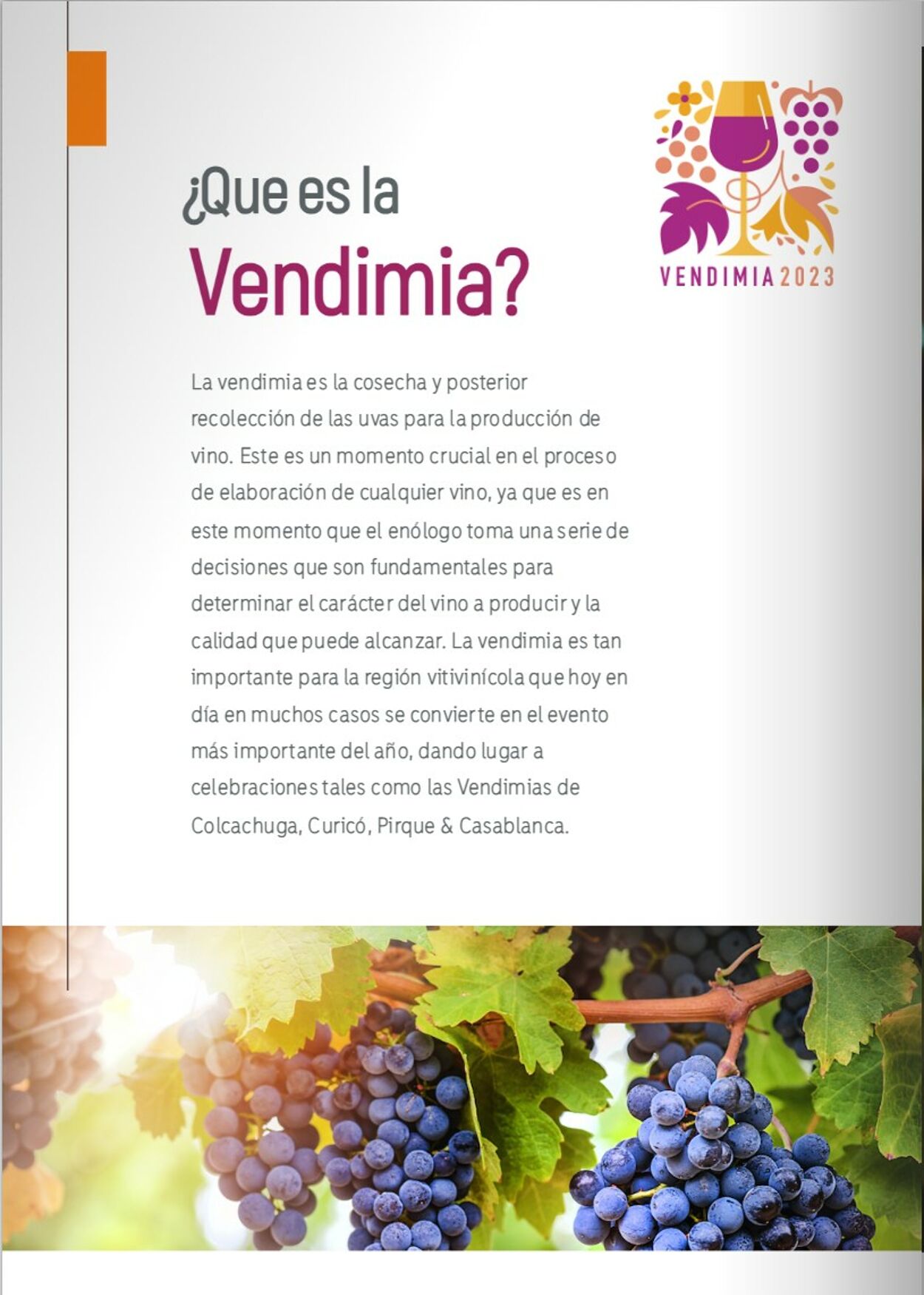 Catálogo El Mundo del Vino 01.03.2023 - 30.04.2023