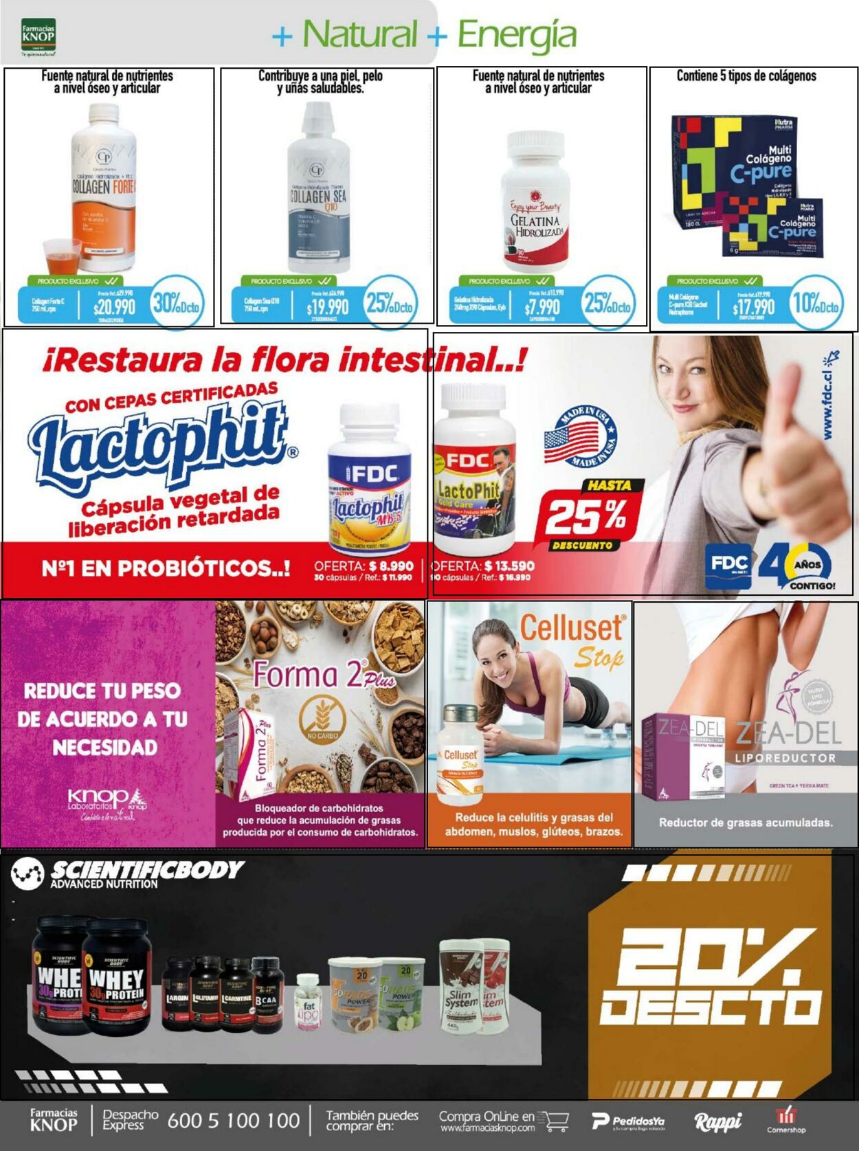 Catálogo Farmacias Knop 05.12.2022 - 31.12.2022