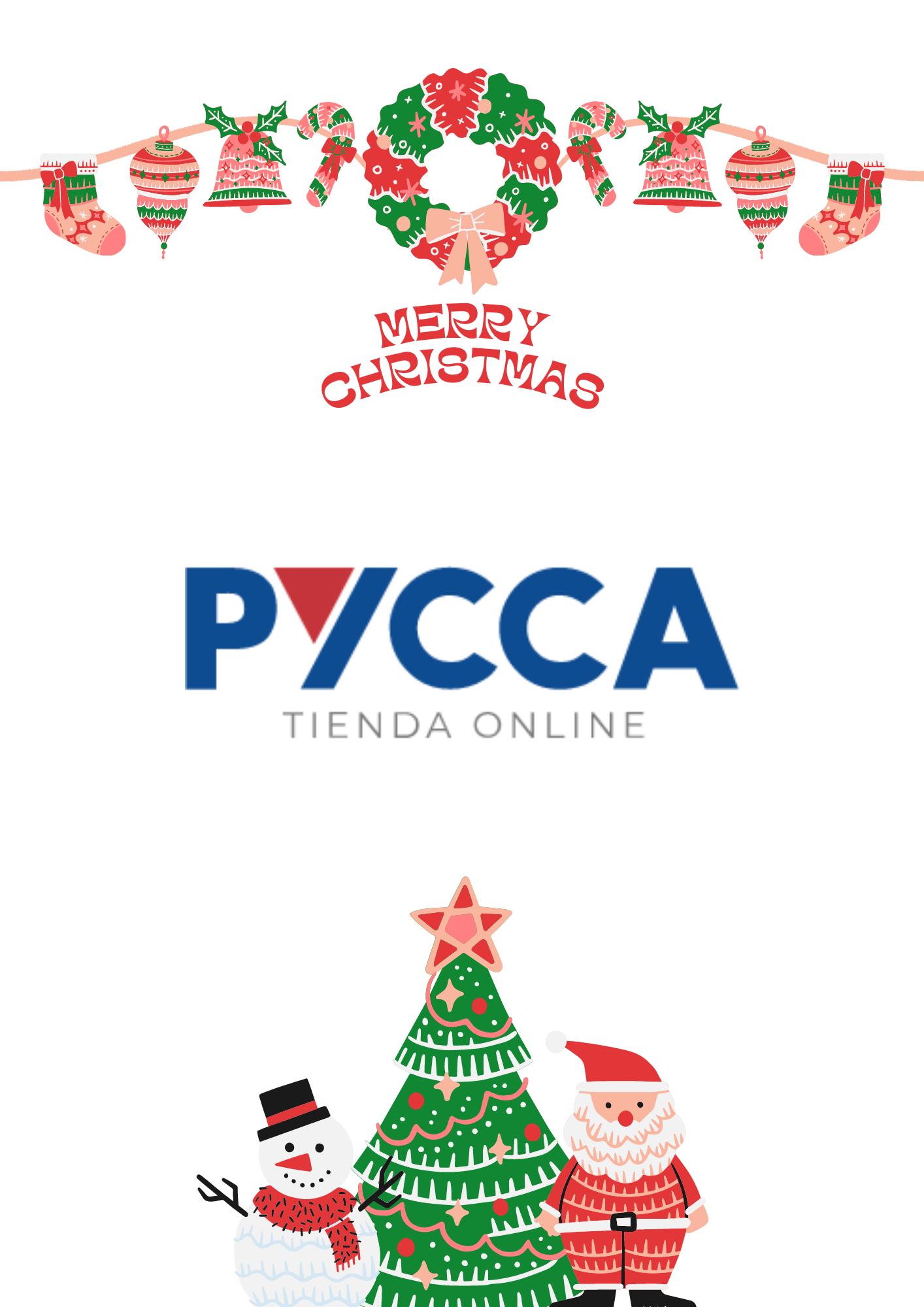 Catálogo Pycca 19.12.2022 - 28.12.2022